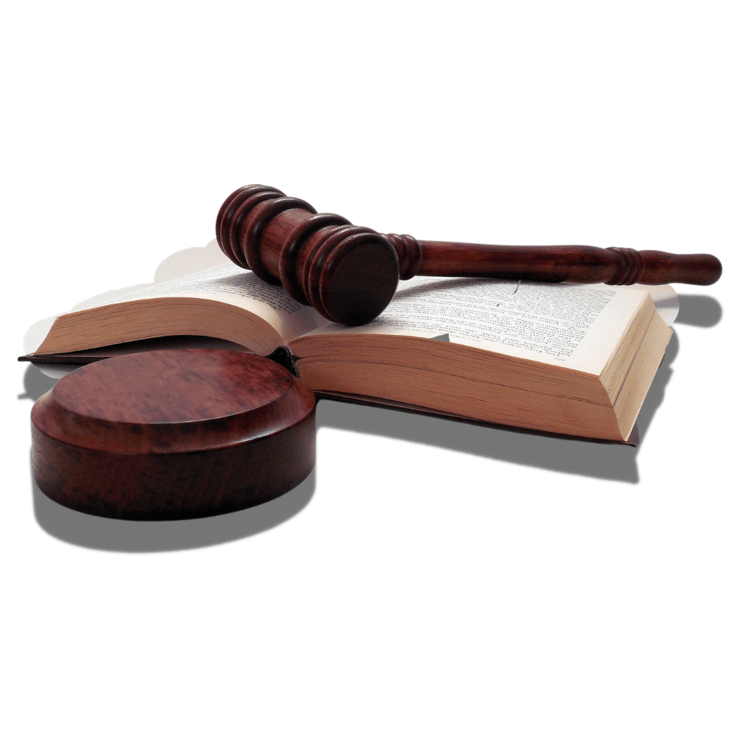 jueces y leyes
